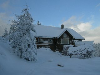 Log Home In Winter